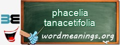 WordMeaning blackboard for phacelia tanacetifolia